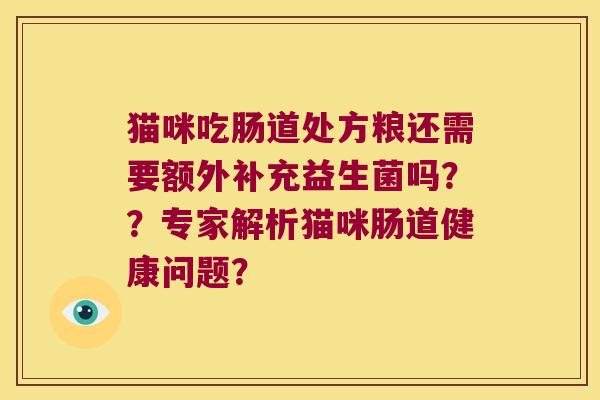 猫咪吃肠道处方粮还需要额外补充益生菌吗？？专家解析猫咪肠道健康问题？