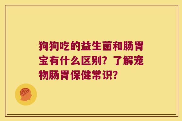 狗狗吃的益生菌和肠胃宝有什么区别？了解宠物肠胃保健常识？