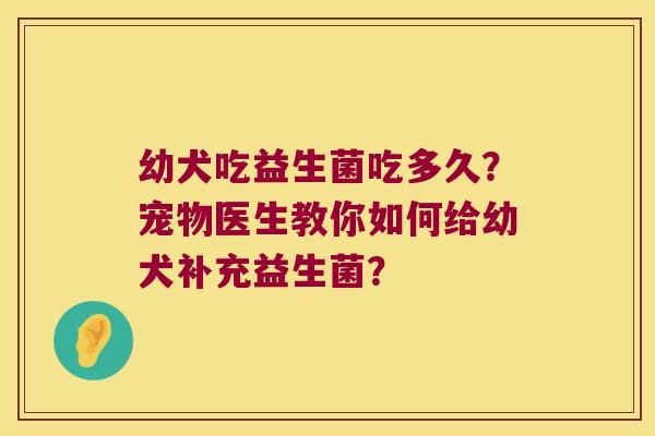 幼犬吃益生菌吃多久？宠物医生教你如何给幼犬补充益生菌？