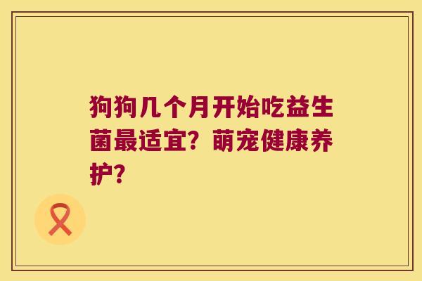 狗狗几个月开始吃益生菌最适宜？萌宠健康养护？