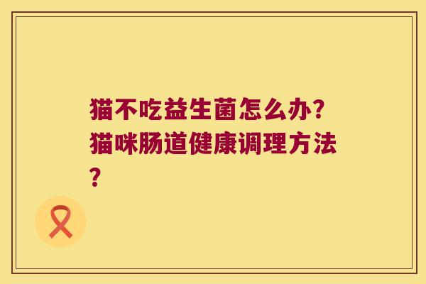 猫不吃益生菌怎么办？猫咪肠道健康调理方法？
