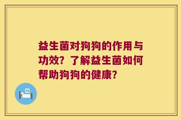 益生菌对狗狗的作用与功效？了解益生菌如何帮助狗狗的健康？