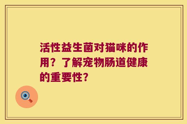 活性益生菌对猫咪的作用？了解宠物肠道健康的重要性？