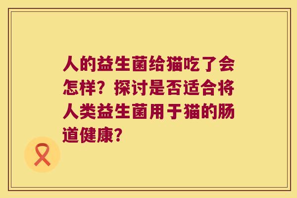 人的益生菌给猫吃了会怎样？探讨是否适合将人类益生菌用于猫的肠道健康？