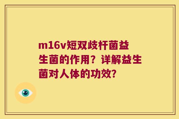m16v短双歧杆菌益生菌的作用？详解益生菌对人体的功效？