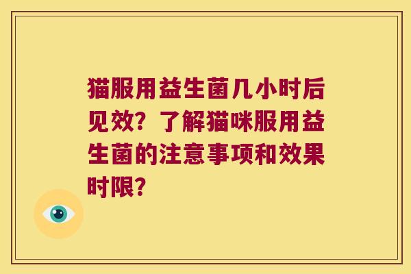 猫服用益生菌几小时后见效？了解猫咪服用益生菌的注意事项和效果时限？