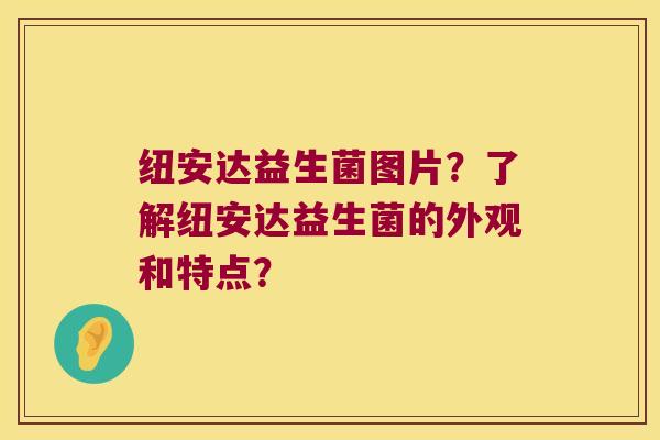 纽安达益生菌图片?了解纽安达益生菌的外观和特点? 纽安达益生菌图片?了解纽安达益生菌的外观和特点?