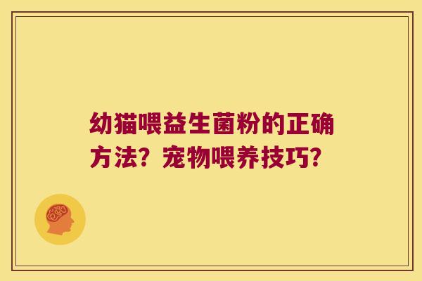 幼猫喂益生菌粉的正确方法？宠物喂养技巧？