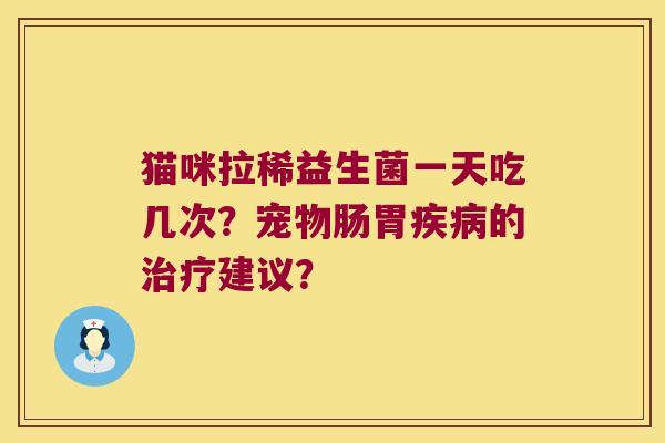 猫咪拉稀益生菌一天吃几次？宠物肠胃疾病的治疗建议？