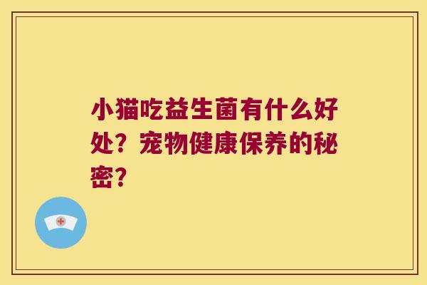 小猫吃益生菌有什么好处？宠物健康保养的秘密？