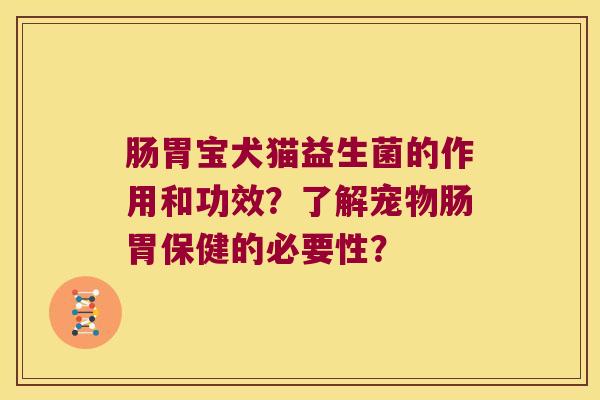 肠胃宝犬猫益生菌的作用和功效？了解宠物肠胃保健的必要性？