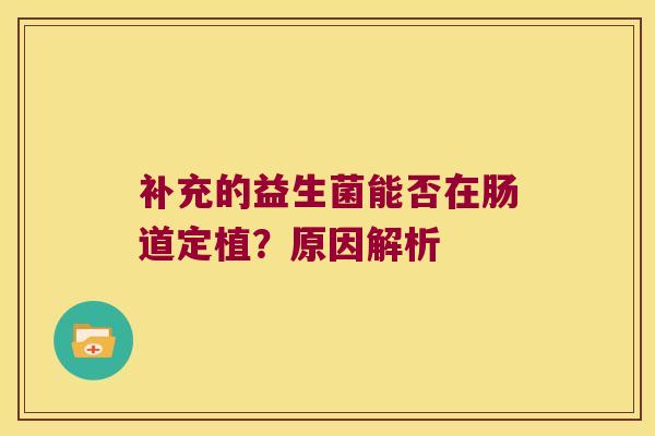 补充的益生菌能否在肠道定植？原因解析