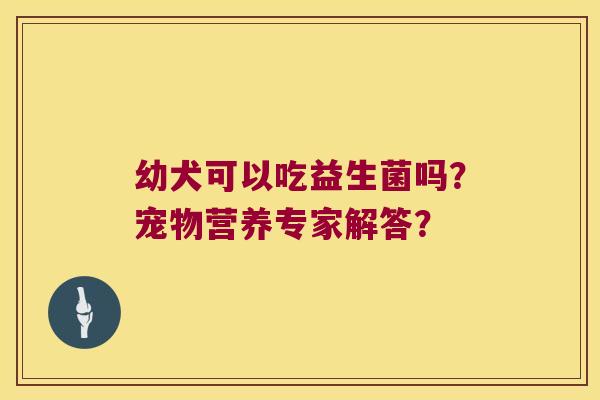幼犬可以吃益生菌吗？宠物营养专家解答？