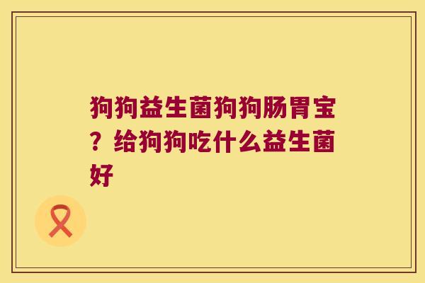 狗狗益生菌狗狗肠胃宝?给狗狗吃什么益生菌好 狗狗益生菌狗狗肠胃宝?给狗狗吃什么益生菌好