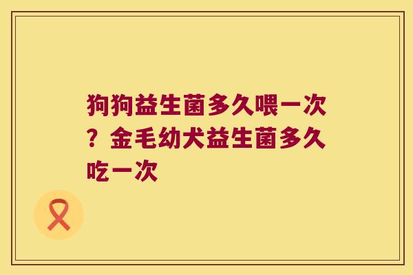 狗狗益生菌多久喂一次？金毛幼犬益生菌多久吃一次