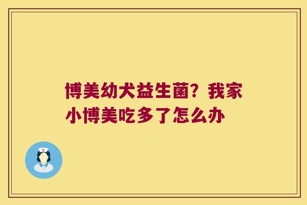 博美幼犬益生菌?我家小博美吃多了怎么办 博美幼犬益生菌?我家小博美吃多了怎么办