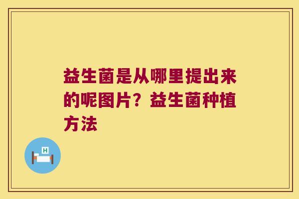 益生菌是从哪里提出来的呢图片？益生菌种植方法