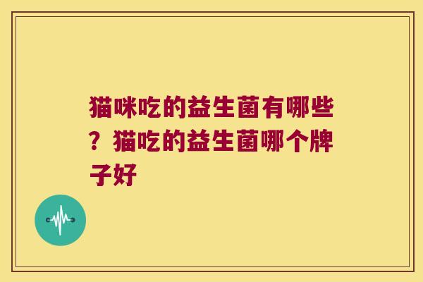 猫咪吃的益生菌有哪些？猫吃的益生菌哪个牌子好