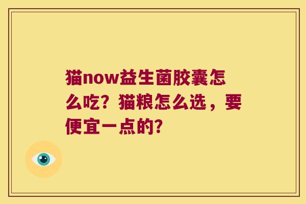 猫now益生菌胶囊怎么吃？猫粮怎么选，要便宜一点的？