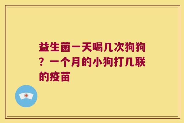 益生菌一天喝几次狗狗？一个月的小狗打几联的疫苗