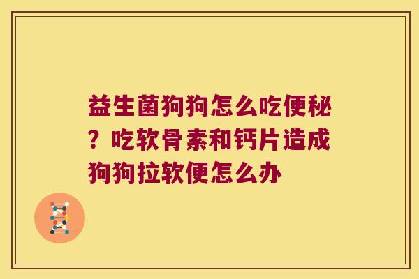 益生菌狗狗怎么吃便秘？吃软骨素和钙片造成狗狗拉软便怎么办