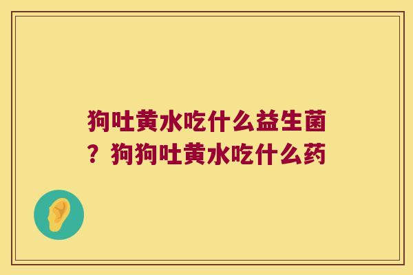 狗吐黄水吃什么益生菌？狗狗吐黄水吃什么药