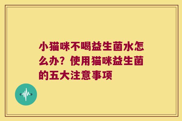 小猫咪不喝益生菌水怎么办？使用猫咪益生菌的五大注意事项