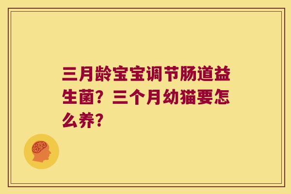 三月龄宝宝调节肠道益生菌？三个月幼猫要怎么养？