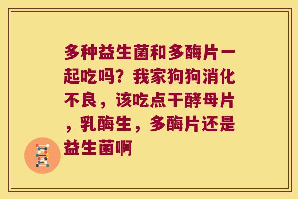 多种益生菌和多酶片一起吃吗？我家狗狗，该吃点干酵母片，乳酶生，多酶片还是益生菌啊