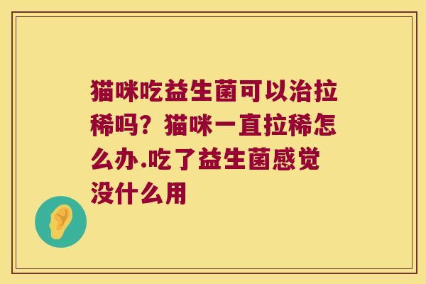 猫咪吃益生菌可以治拉稀吗？猫咪一直拉稀怎么办.吃了益生菌感觉没什么用
