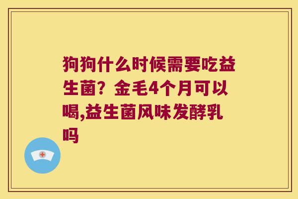 狗狗什么时候需要吃益生菌？金毛4个月可以喝,益生菌风味发酵乳吗