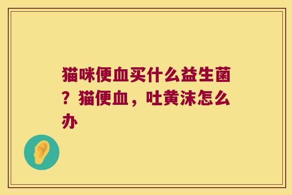 猫咪便买什么益生菌？猫便，吐黄沫怎么办