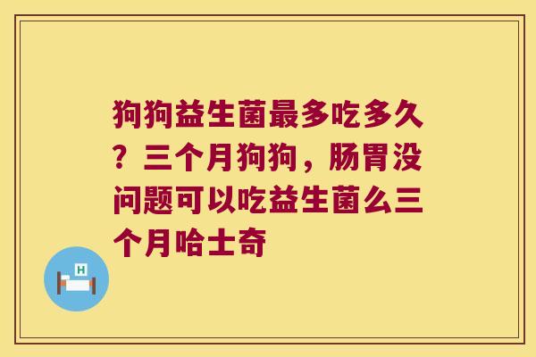 狗狗益生菌最多吃多久？三个月狗狗，肠胃没问题可以吃益生菌么三个月哈士奇