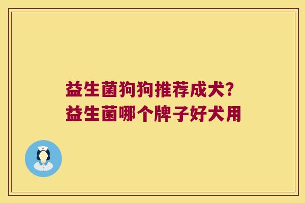 益生菌狗狗推荐成犬？益生菌哪个牌子好犬用