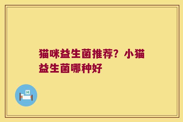 猫咪益生菌推荐？小猫益生菌哪种好