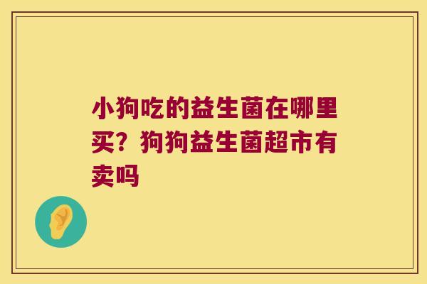 小狗吃的益生菌在哪里买？狗狗益生菌超市有卖吗