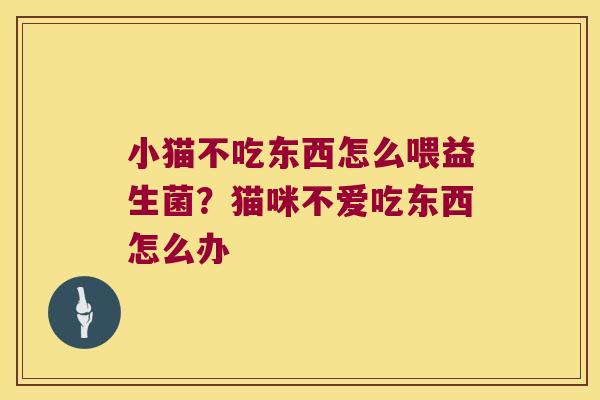 小猫不吃东西怎么喂益生菌？猫咪不爱吃东西怎么办