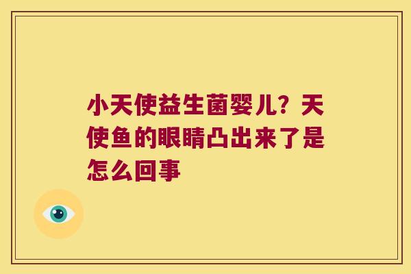 小天使益生菌婴儿？天使鱼的眼睛凸出来了是怎么回事