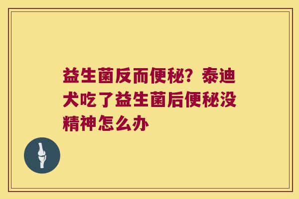 益生菌反而便秘？泰迪犬吃了益生菌后便秘没精神怎么办