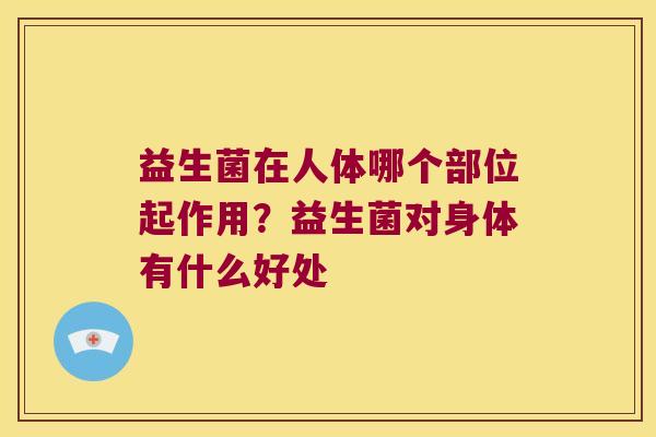 益生菌在人体哪个部位起作用？益生菌对身体有什么好处