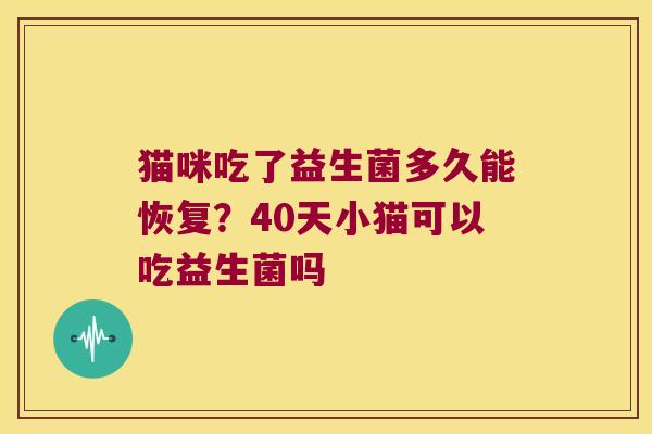 猫咪吃了益生菌多久能恢复？40天小猫可以吃益生菌吗
