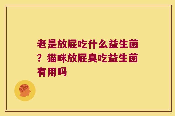 老是放屁吃什么益生菌？猫咪放屁臭吃益生菌有用吗