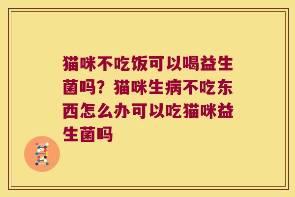 猫咪不吃饭可以喝益生菌吗？猫咪生病不吃东西怎么办可以吃猫咪益生菌吗