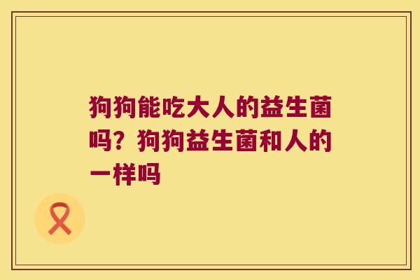 狗狗能吃大人的益生菌吗？狗狗益生菌和人的一样吗