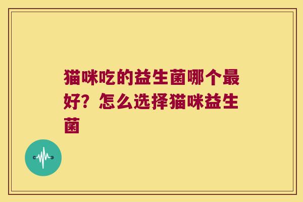 猫咪吃的益生菌哪个好？怎么选择猫咪益生菌