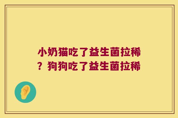 小奶猫吃了益生菌拉稀？狗狗吃了益生菌拉稀