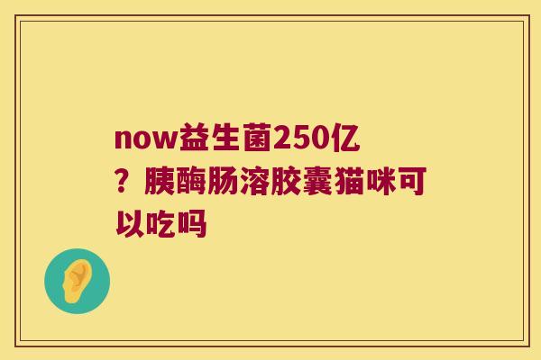 now益生菌250亿？胰酶肠溶胶囊猫咪可以吃吗