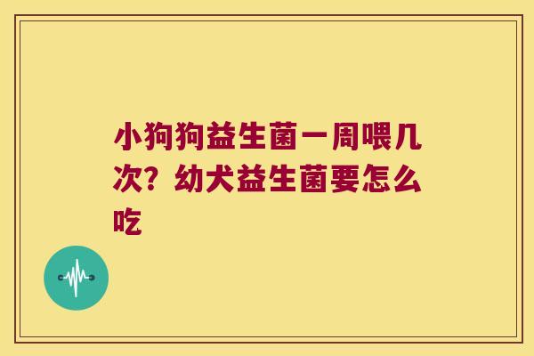 小狗狗益生菌一周喂几次？幼犬益生菌要怎么吃