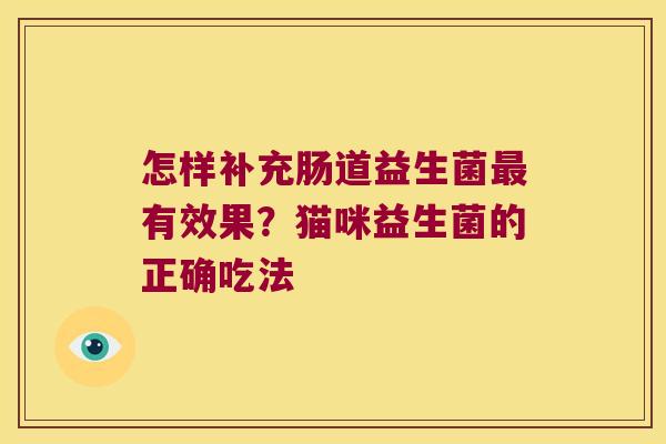 怎样补充肠道益生菌有效果?猫咪益生菌的正确吃法 怎样补充肠道益生菌有效果?猫咪益生菌的正确吃法