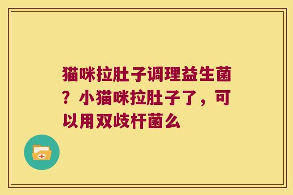 猫咪拉肚子调理益生菌？小猫咪拉肚子了，可以用双歧杆菌么
